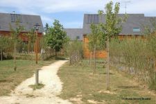Langouet- Prairie Madame-allee centrale.JPG